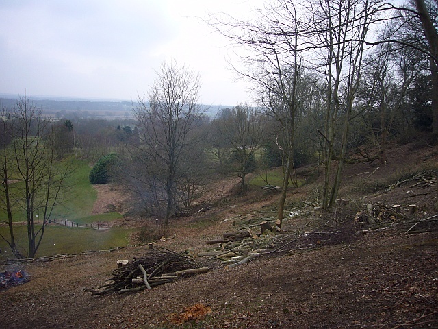 Clearing Brash at Deepdene Terrace - After (10/4/13)